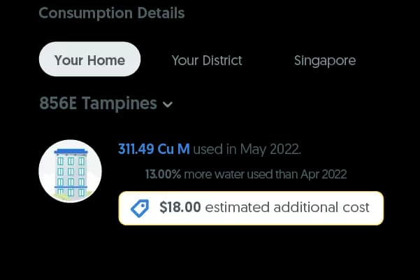 Understand Home Consumption